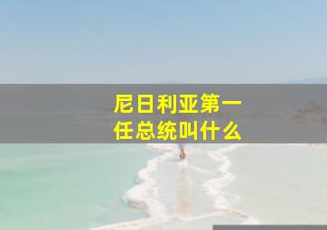 尼日利亚第一任总统叫什么