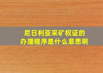 尼日利亚采矿权证的办理程序是什么意思啊