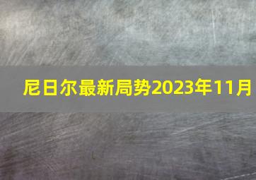 尼日尔最新局势2023年11月