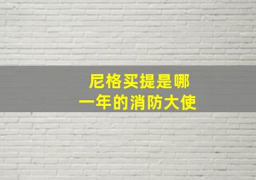 尼格买提是哪一年的消防大使