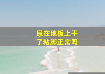 尿在地板上干了粘脚正常吗