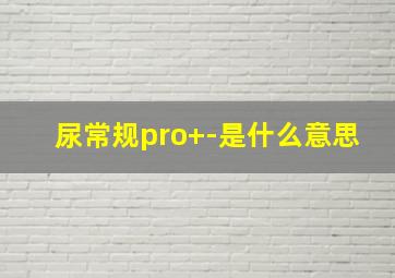 尿常规pro+-是什么意思