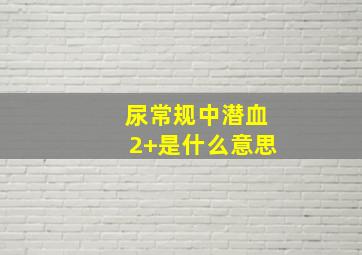 尿常规中潜血2+是什么意思