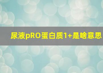 尿液pRO蛋白质1+是啥意思