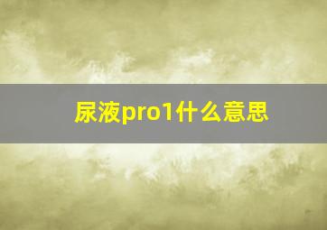 尿液pro1什么意思