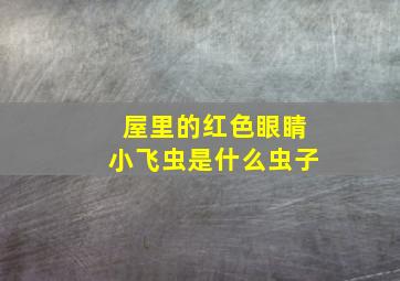 屋里的红色眼睛小飞虫是什么虫子