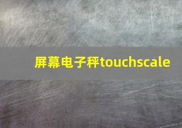 屏幕电子秤touchscale