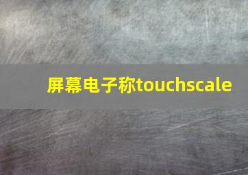 屏幕电子称touchscale