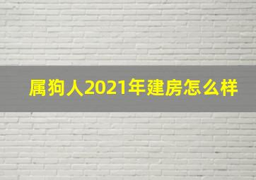 属狗人2021年建房怎么样