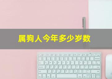 属狗人今年多少岁数