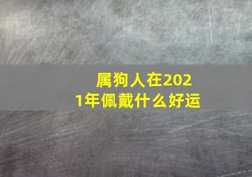 属狗人在2021年佩戴什么好运