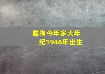 属狗今年多大年纪1946年出生