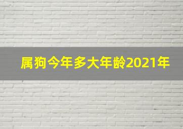 属狗今年多大年龄2021年