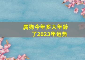 属狗今年多大年龄了2023年运势