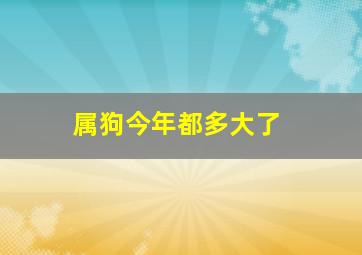 属狗今年都多大了