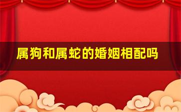 属狗和属蛇的婚姻相配吗