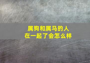 属狗和属马的人在一起了会怎么样