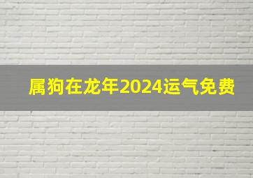 属狗在龙年2024运气免费