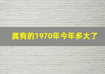 属狗的1970年今年多大了