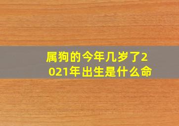 属狗的今年几岁了2021年出生是什么命