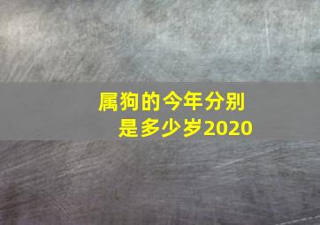 属狗的今年分别是多少岁2020