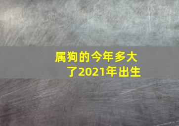 属狗的今年多大了2021年出生