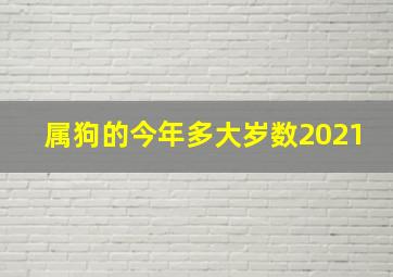 属狗的今年多大岁数2021