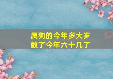 属狗的今年多大岁数了今年六十几了