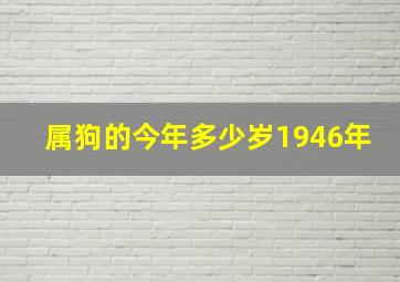 属狗的今年多少岁1946年