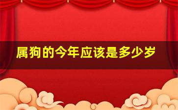 属狗的今年应该是多少岁