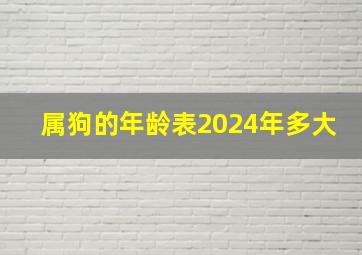 属狗的年龄表2024年多大