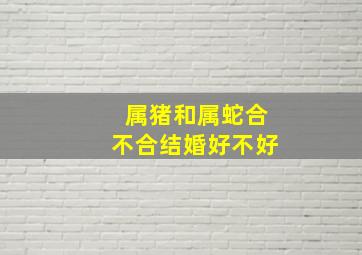 属猪和属蛇合不合结婚好不好