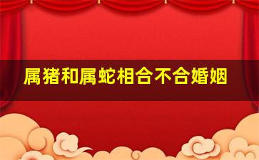 属猪和属蛇相合不合婚姻