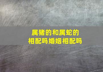 属猪的和属蛇的相配吗婚姻相配吗