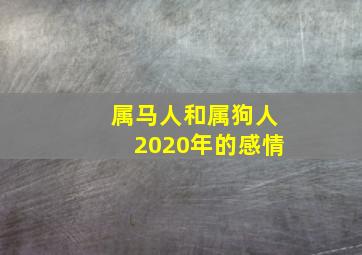 属马人和属狗人2020年的感情