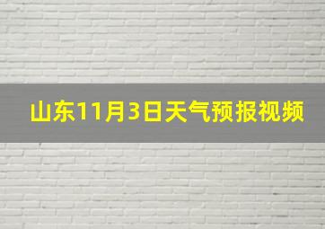 山东11月3日天气预报视频