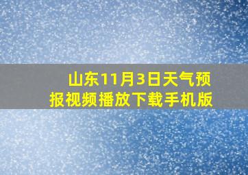 山东11月3日天气预报视频播放下载手机版