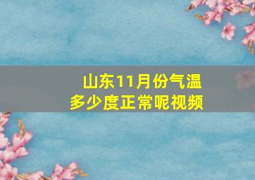 山东11月份气温多少度正常呢视频