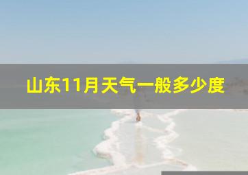 山东11月天气一般多少度