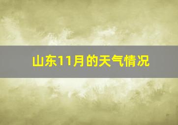 山东11月的天气情况