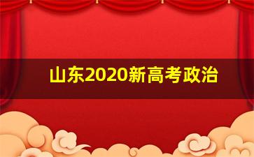 山东2020新高考政治