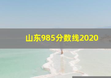 山东985分数线2020