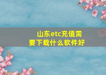 山东etc充值需要下载什么软件好