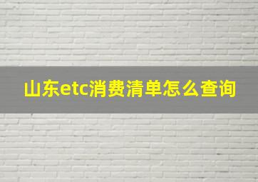 山东etc消费清单怎么查询