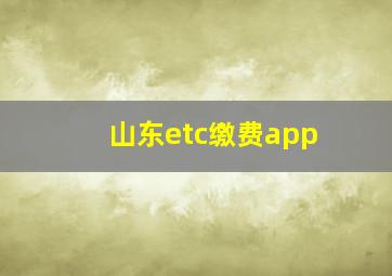 山东etc缴费app