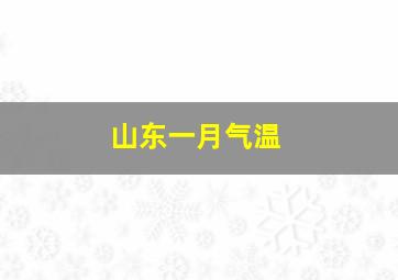 山东一月气温