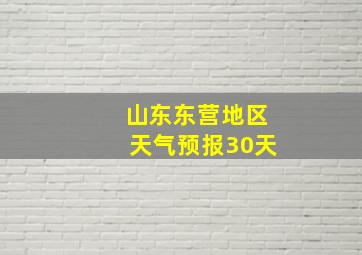 山东东营地区天气预报30天