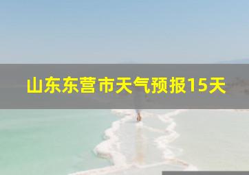 山东东营市天气预报15天