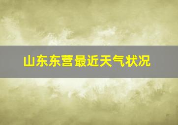 山东东营最近天气状况