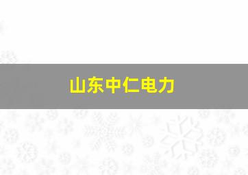 山东中仁电力